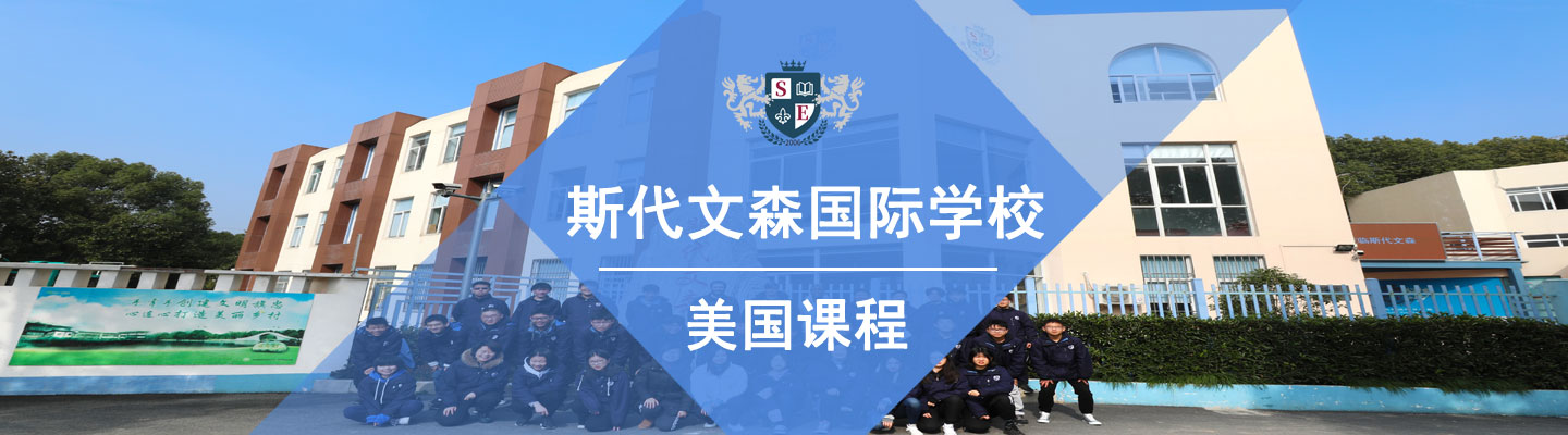 Stavenson International School